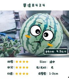 吃瓜炸裂 独家爆料,吃瓜炸裂！独家爆料揭秘娱乐圈惊天秘密